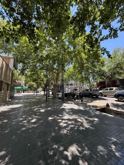 Local Comercial en Alquiler en Capital, Mendoza