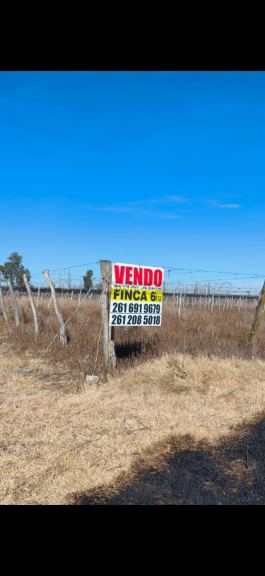 Finca en Venta en Lavalle, Mendoza