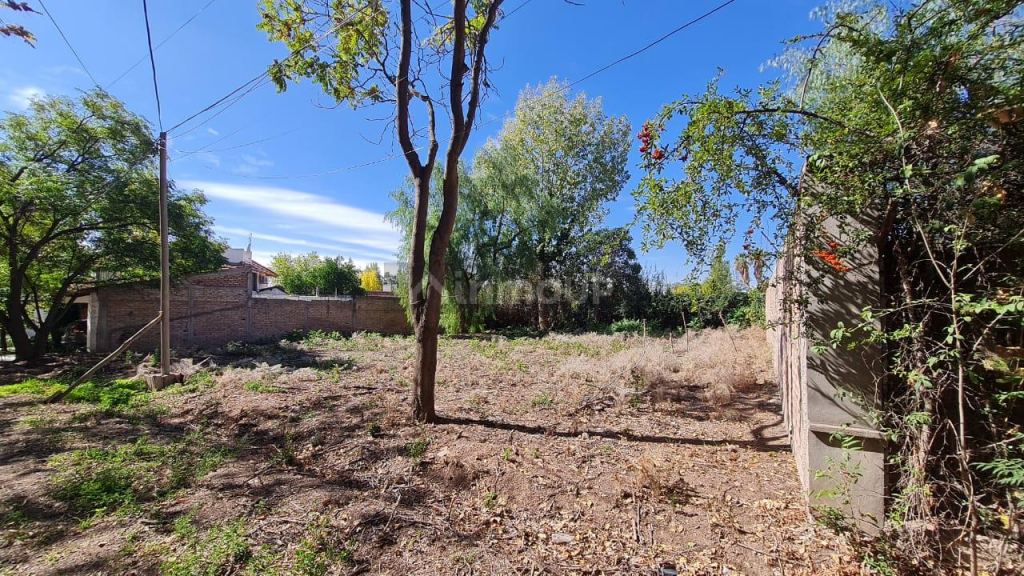 Lote en Venta en Lujan de Cuyo, Mendoza