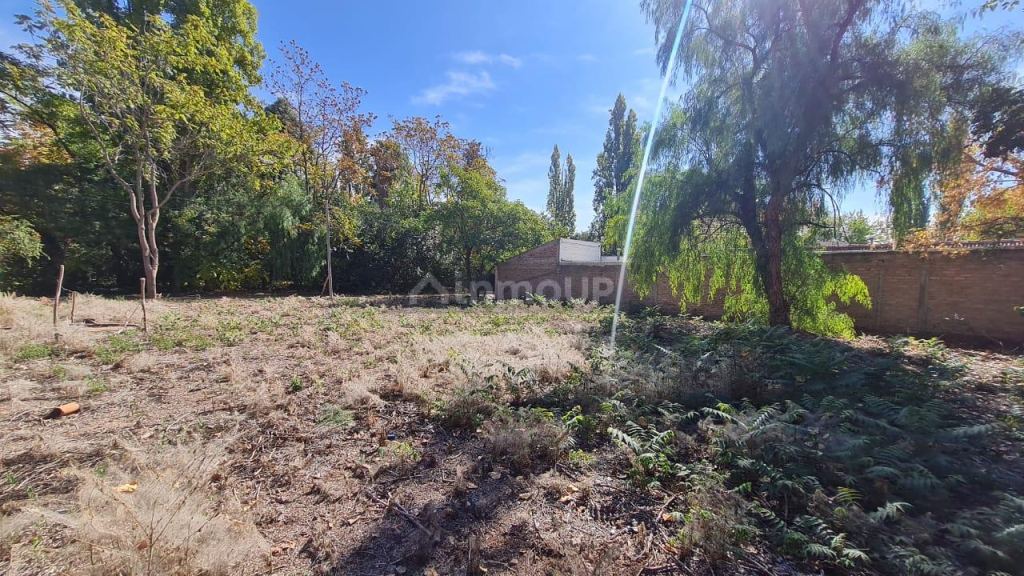 Lote en Venta en Lujan de Cuyo, Mendoza