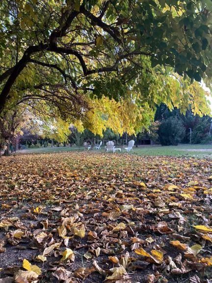Quinta en Venta en Maipu, Mendoza
