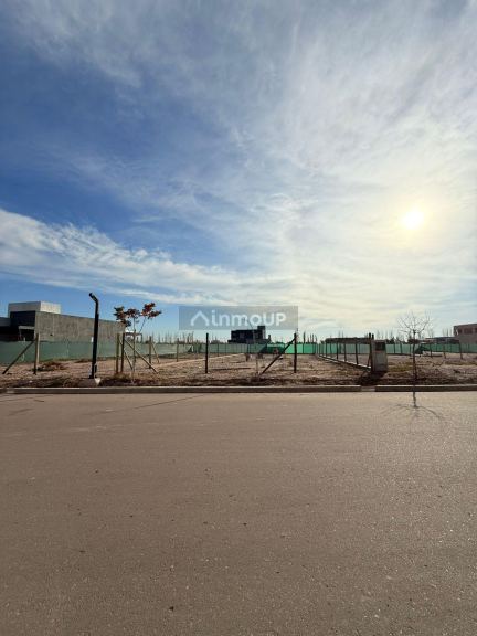 Lote en Venta en Lujan de Cuyo, Mendoza