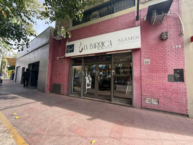 Local Comercial en Alquiler en Capital, Mendoza