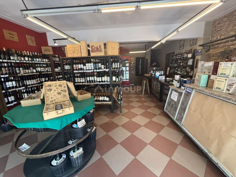 Local Comercial en Alquiler en Capital, Mendoza