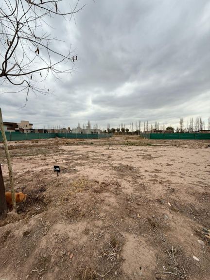 Lote en Venta en Lujan de Cuyo, Mendoza