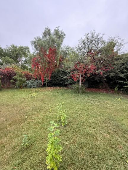 Lote en Venta en Lujan de Cuyo, Mendoza