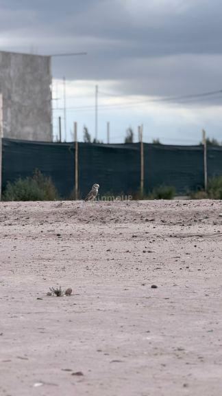 Terreno en Venta en Maipu, Mendoza