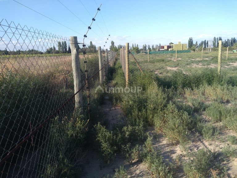 Lote en Venta en Lujan de Cuyo, Mendoza