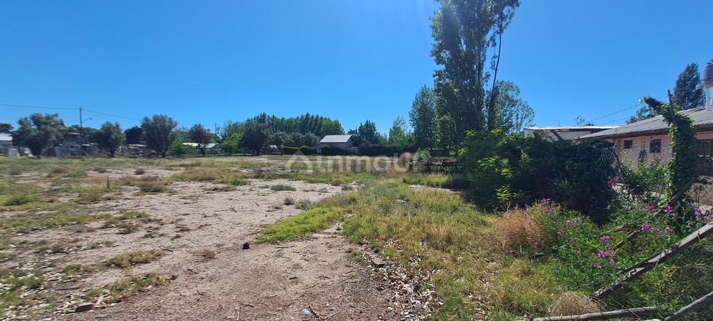Terreno en Venta en Lujan de Cuyo, Mendoza