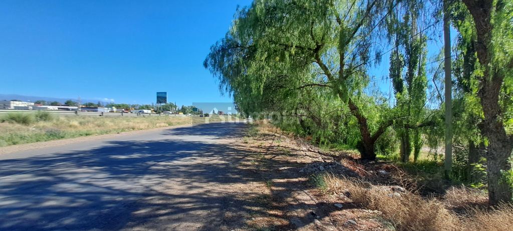 Terreno en Venta en Lujan de Cuyo, Mendoza