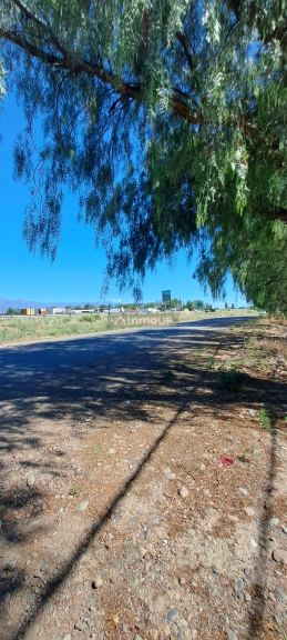 Terreno en Venta en Lujan de Cuyo, Mendoza