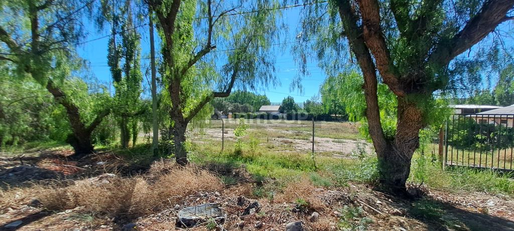 Terreno en Venta en Lujan de Cuyo, Mendoza