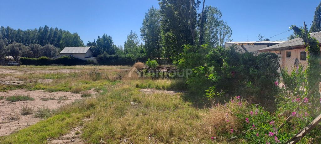 Terreno en Venta en Lujan de Cuyo, Mendoza