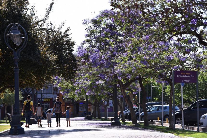 Local Comercial en Alquiler en Godoy Cruz, Mendoza