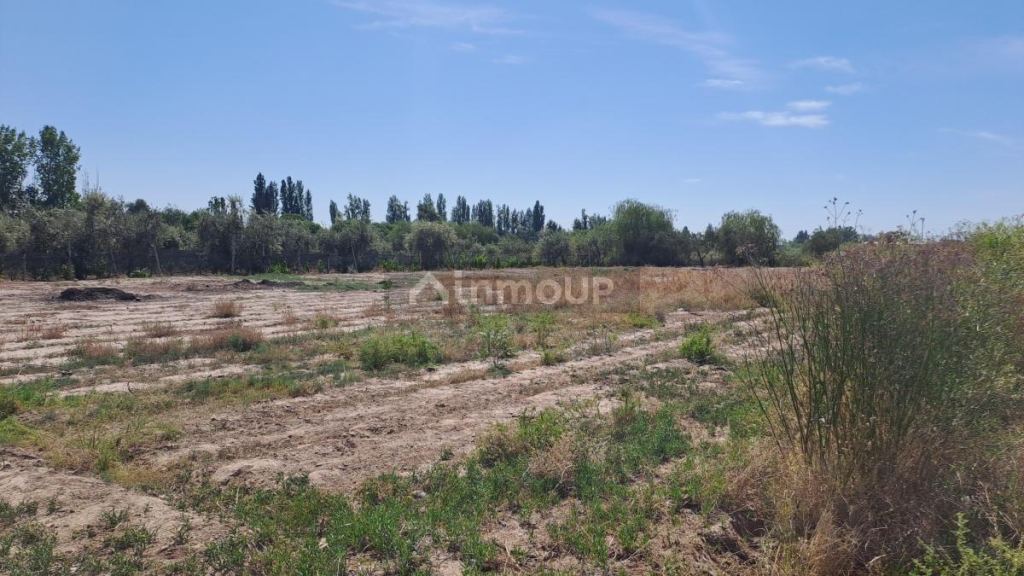 Terreno en Venta en Maipu, Mendoza