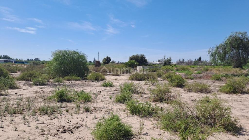Terreno en Venta en Maipu, Mendoza