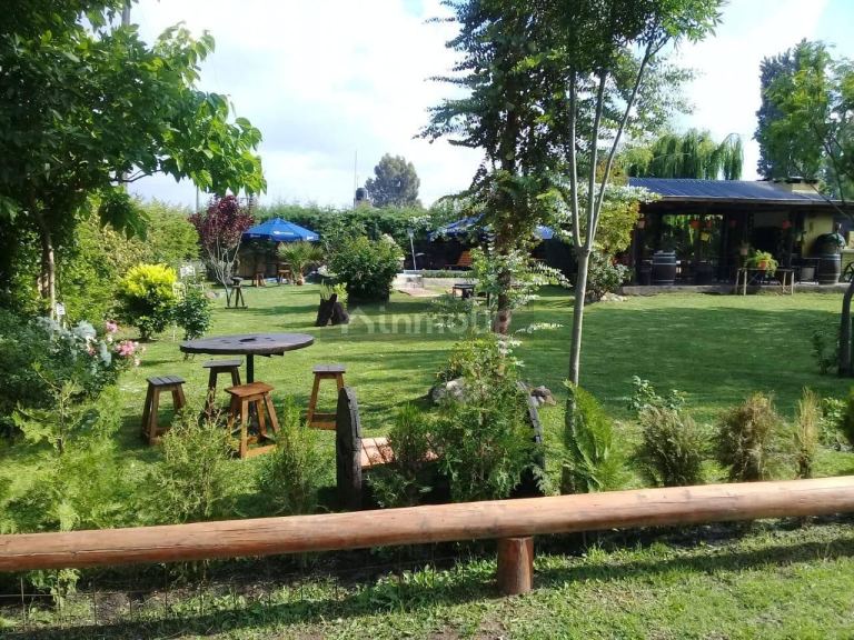 Fondo de Comercio en Venta en Lujan de Cuyo, Mendoza