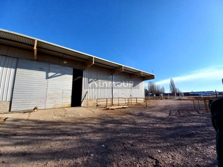 Galpon en Venta en Lujan de Cuyo, Mendoza