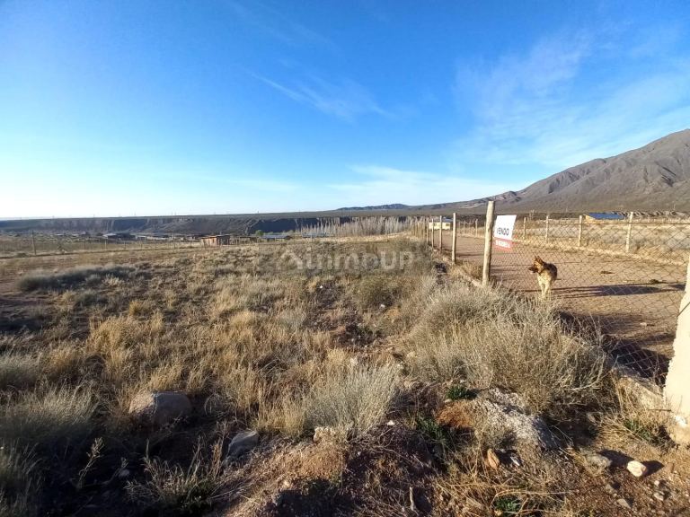 Lote en Venta en Lujan de Cuyo, Mendoza
