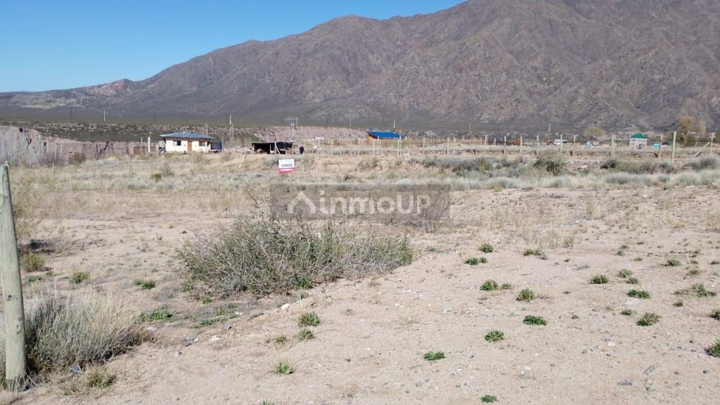 Lote en Venta en Lujan de Cuyo, Mendoza