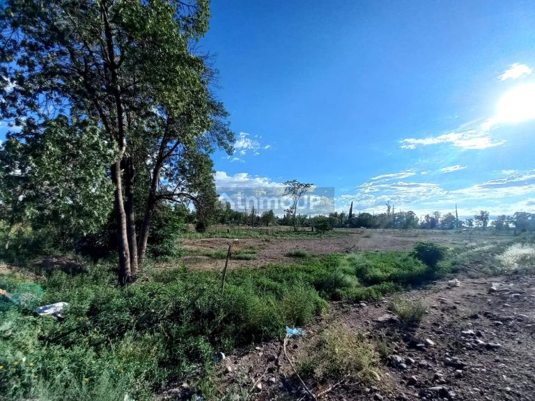 Lote en Venta en Lujan de Cuyo, Mendoza
