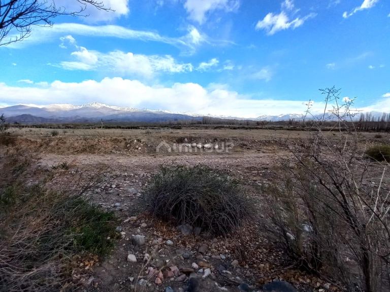 Campo en Venta en Tunuyan, Mendoza