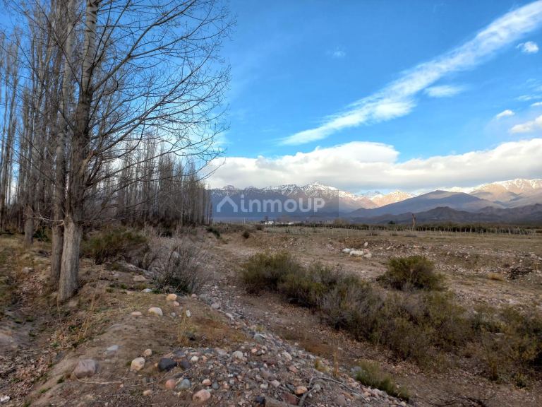 Campo en Venta en Tunuyan, Mendoza