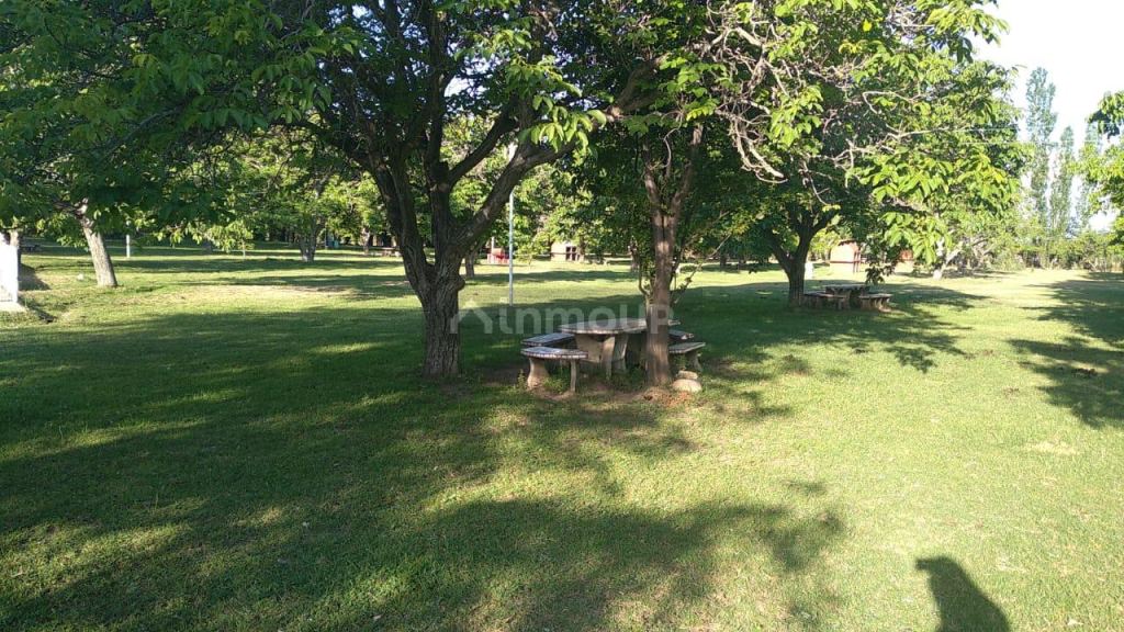 Campo en Venta en Tunuyan, Mendoza