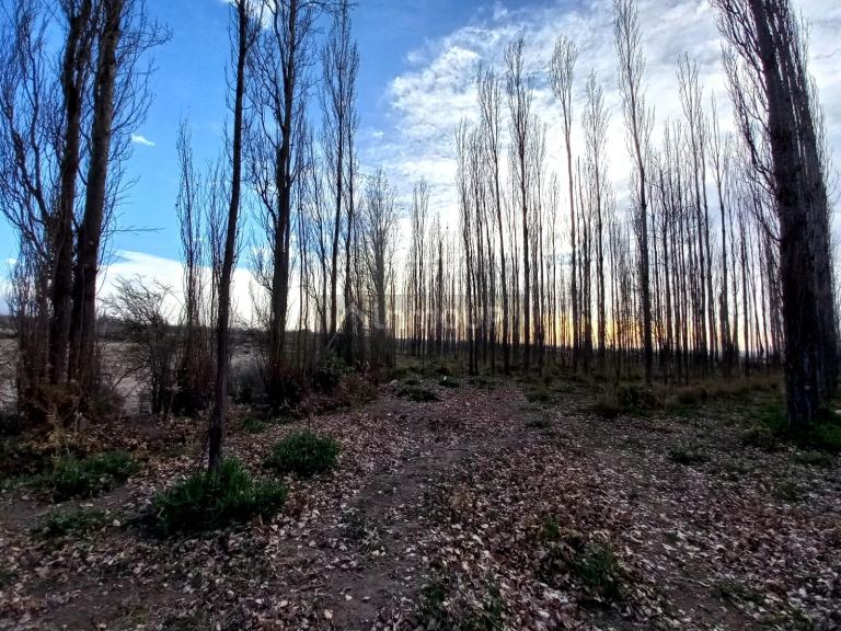 Campo en Venta en Tunuyan, Mendoza