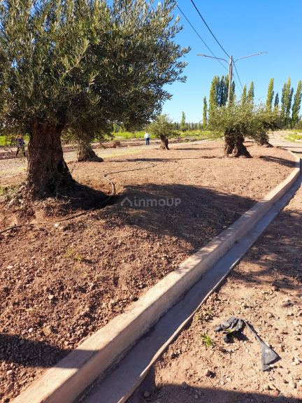 Lote en Venta en Lujan de Cuyo, Mendoza
