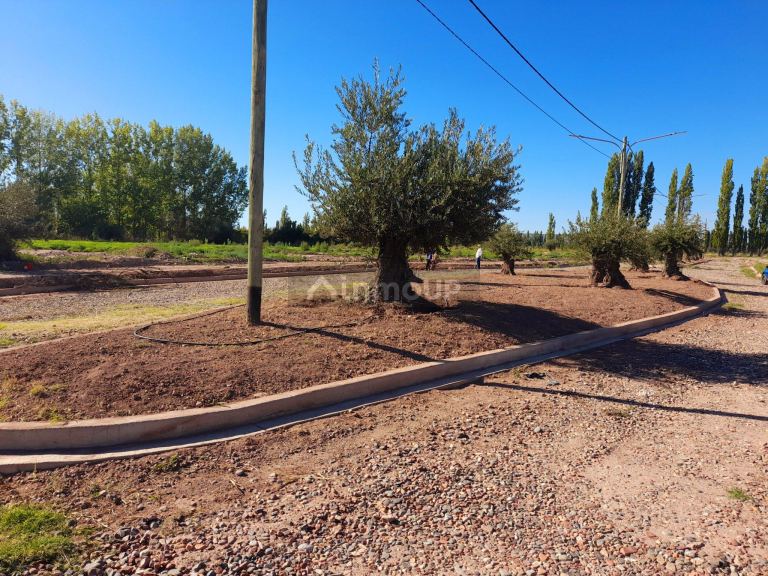 Lote en Venta en Lujan de Cuyo, Mendoza