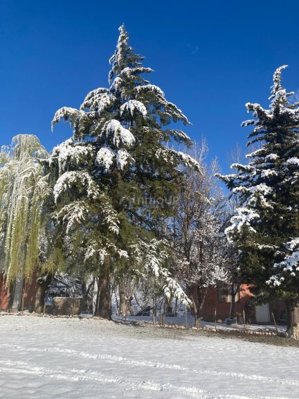 Campo en Venta en Tunuyan, Mendoza