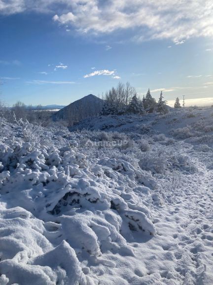 Campo en Venta en Tunuyan, Mendoza