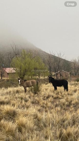 Campo en Venta en Tunuyan, Mendoza