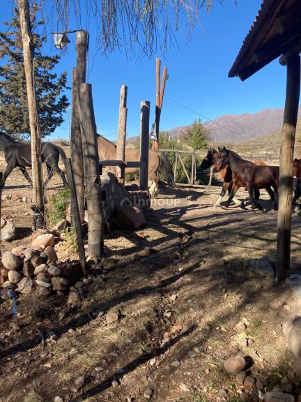 Campo en Venta en Tunuyan, Mendoza