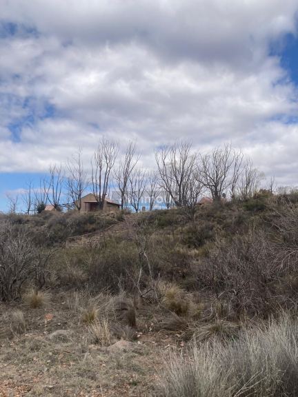 Campo en Venta en Tunuyan, Mendoza