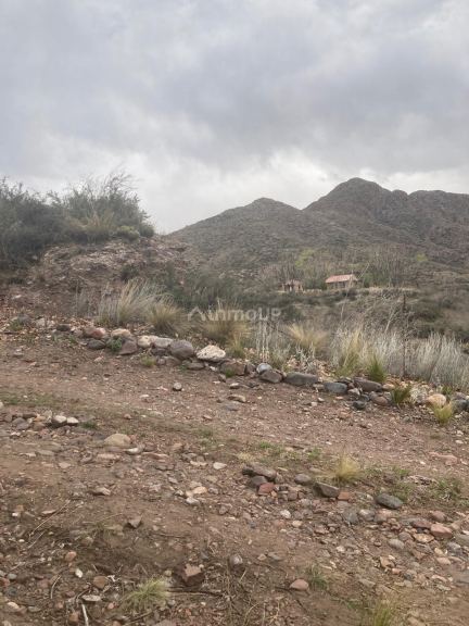 Campo en Venta en Tunuyan, Mendoza