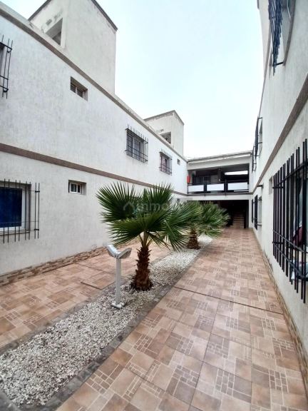 Departamento en Alquiler en Lujan de Cuyo, Mendoza