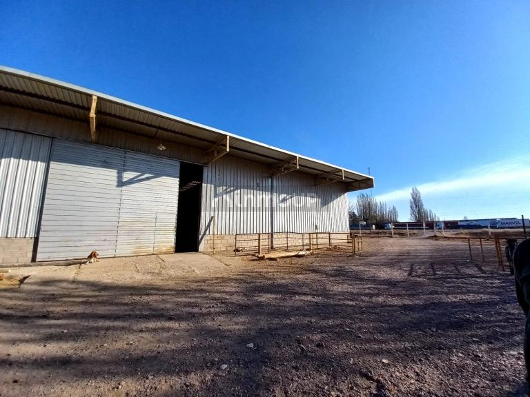 Galpon en Alquiler en Lujan de Cuyo, Mendoza