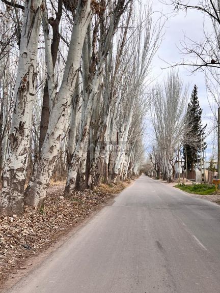 Lujan de Cuyo Calle Terrada