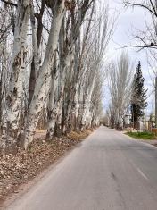 Lujan de Cuyo Calle Terrada