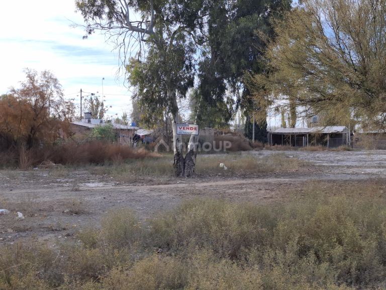 Lote en Venta en Lavalle, Mendoza