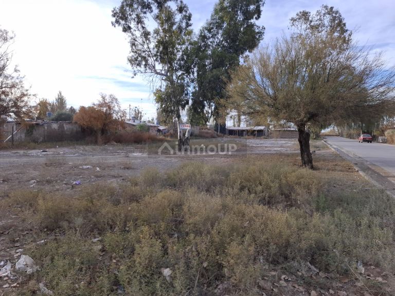 Lote en Venta en Lavalle, Mendoza