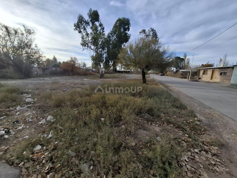 Lote en Venta en Lavalle, Mendoza