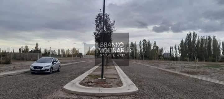 Terreno en Venta en Maipu, Mendoza