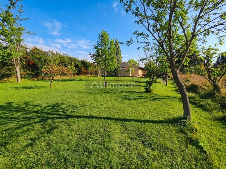 Casa en Alquiler en Lujan de Cuyo, Mendoza