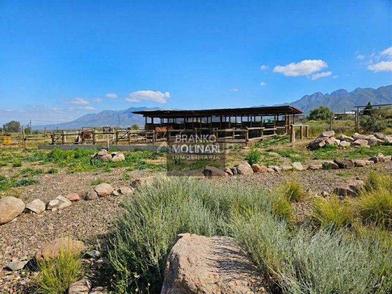 Terreno en Venta en Lujan de Cuyo, Mendoza