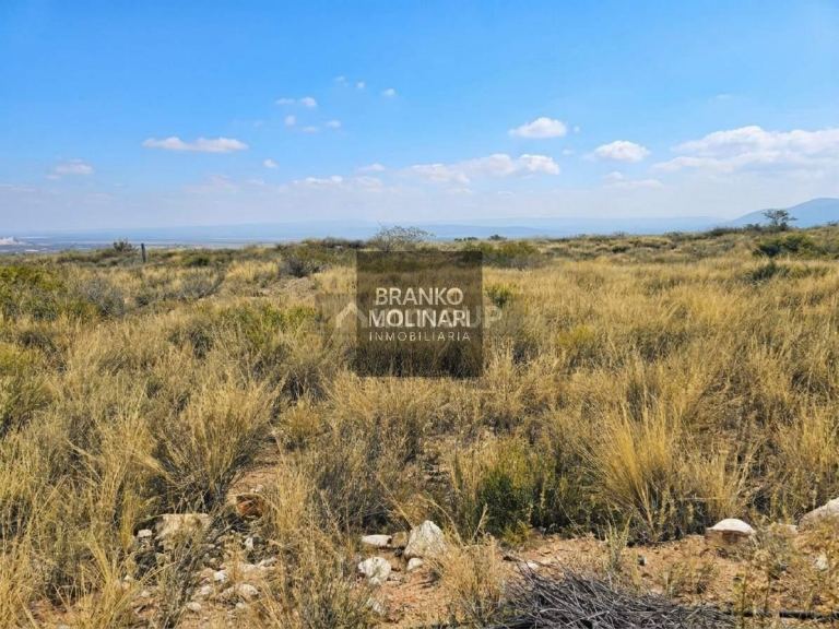 Terreno en Venta en Lujan de Cuyo, Mendoza