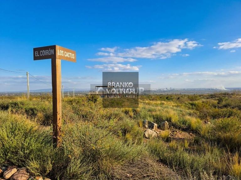 Terreno en Venta en Lujan de Cuyo, Mendoza