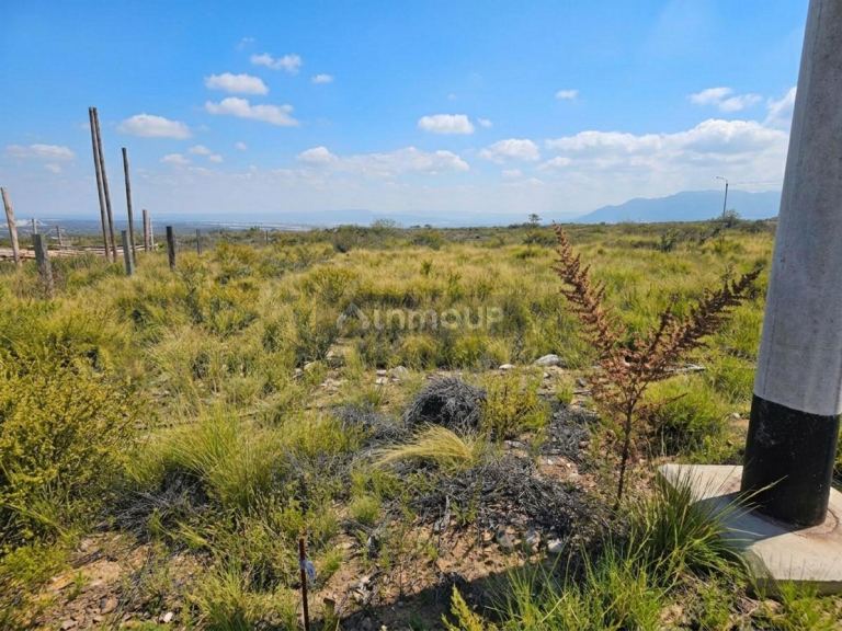 Lote en Venta en Lujan de Cuyo, Mendoza